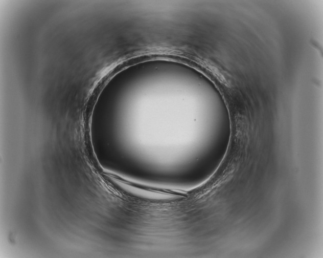 X0000098021264200804071344