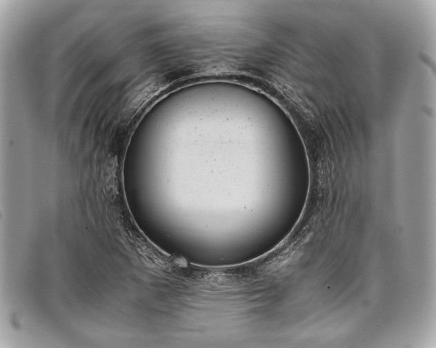 X0000098021265200804071344