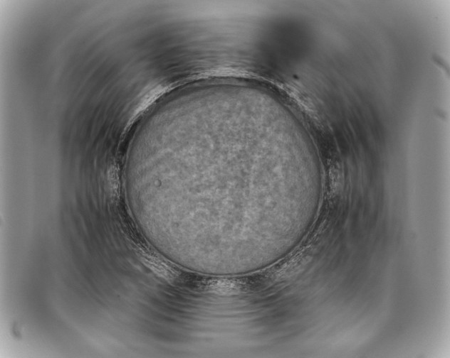 X0000098021266200804071344