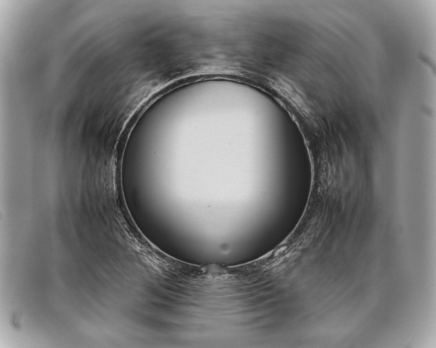 X0000098021268200804071344