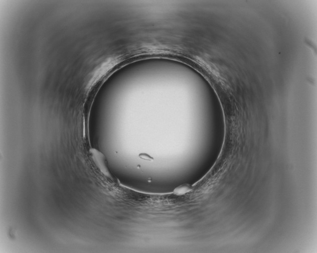 X0000098021269200804071344