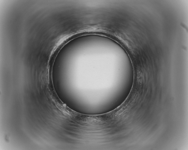 X0000098021270200804071344