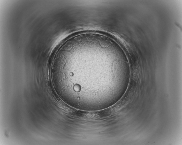 X0000098021271200804071344