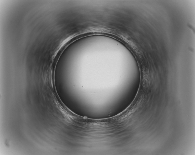 X0000098021272200804071344