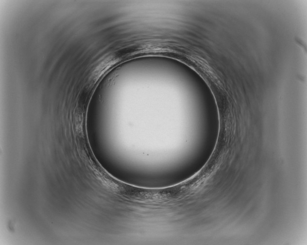 X0000098021273200804071344