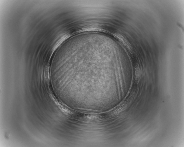 X0000098021274200804071344