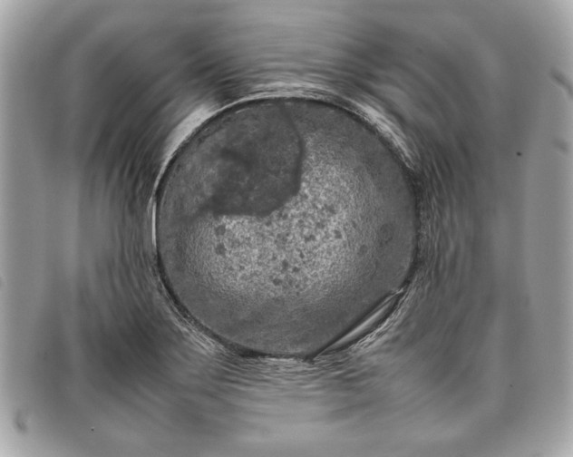 X0000098021275200804071344