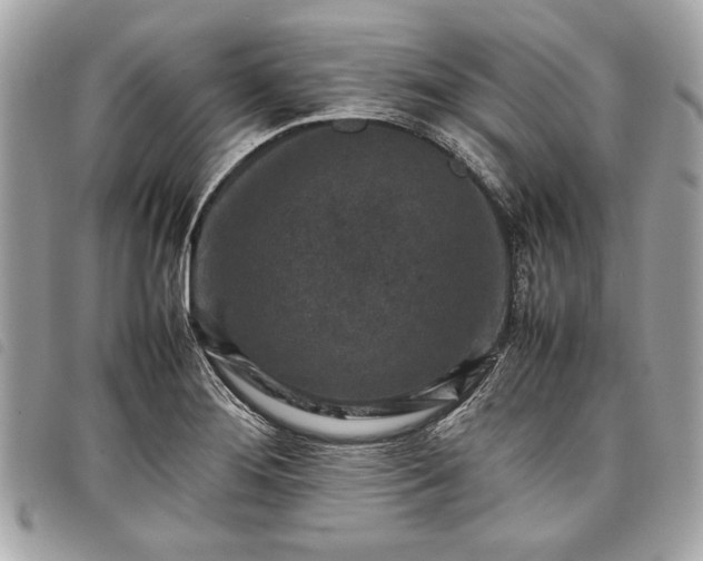 X0000098021276200804071344