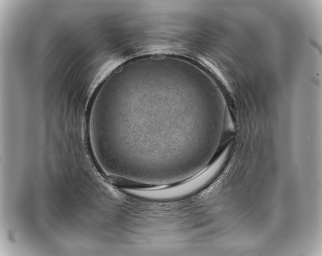 X0000098021277200804071344