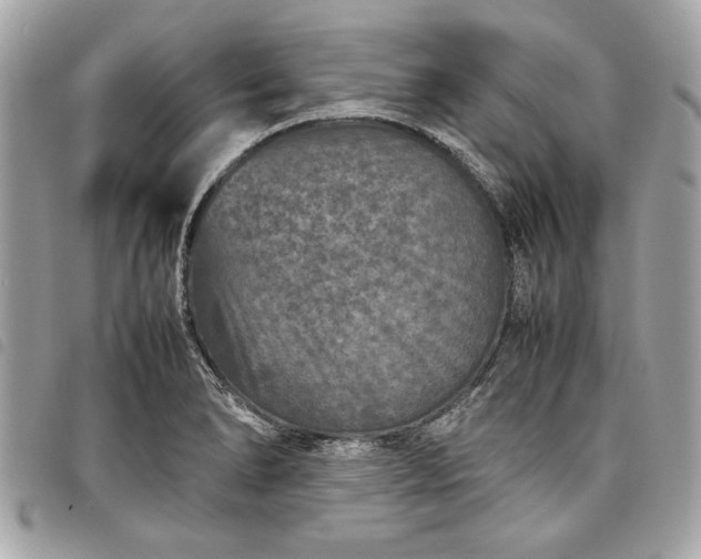 X0000098021278200804071344