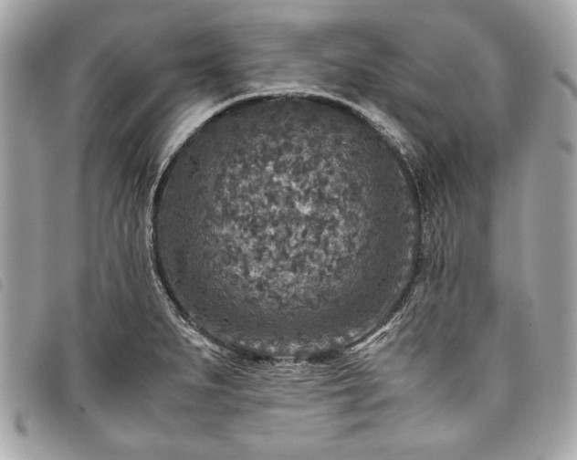 X0000098021279200804071344