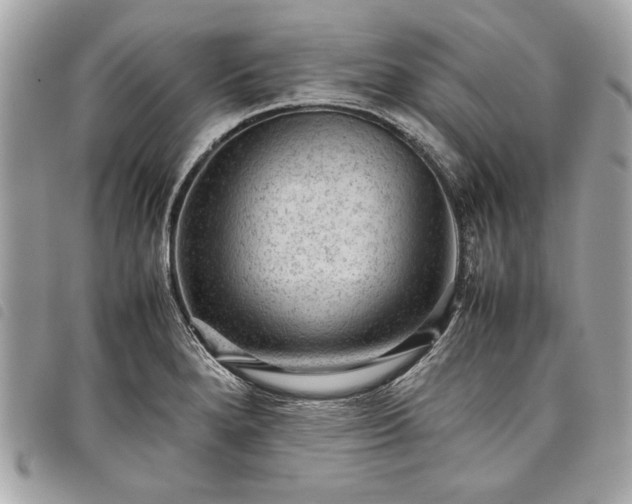 X0000098021280200804071344