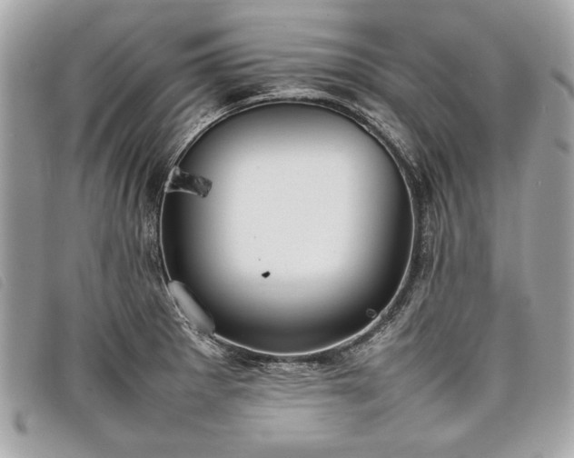 X0000098021281200804071344