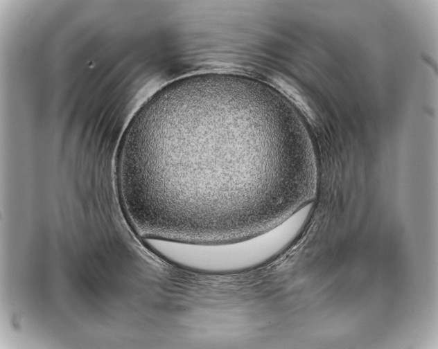 X0000098021283200804071344