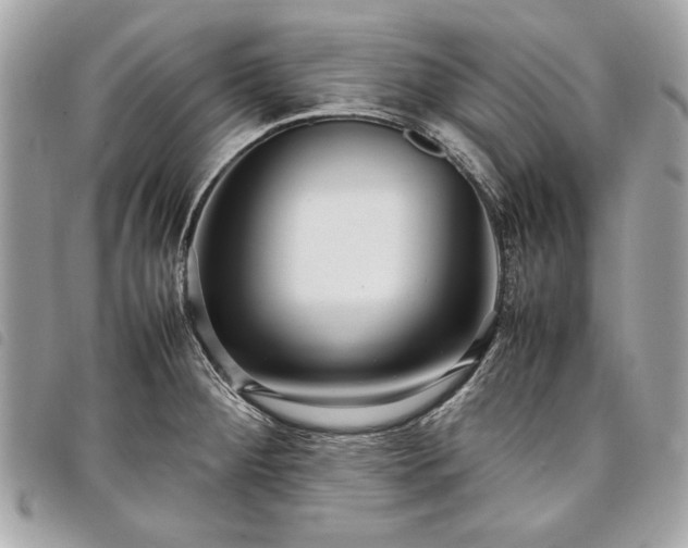 X0000098021284200804071344