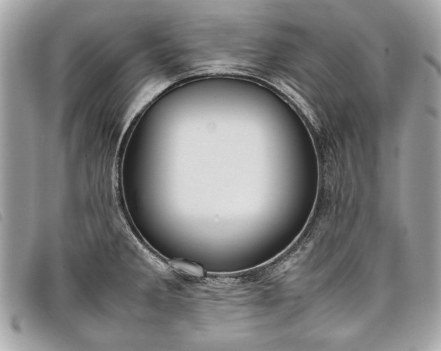 X0000098021285200804071344