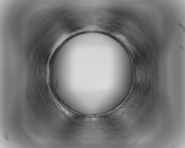 X0000098021286200804071344