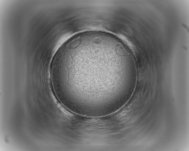 X0000098021287200804071344