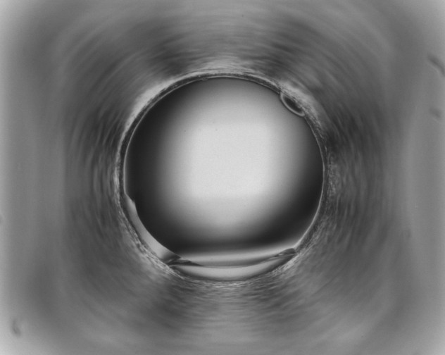 X0000098021288200804071344