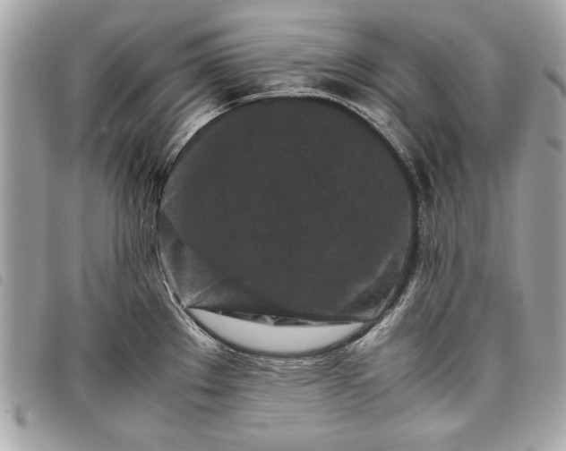 X0000098021289200804071344