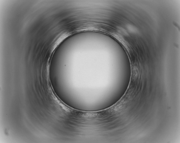 X0000098021290200804071344