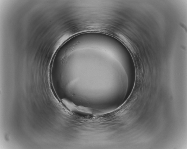 X0000098021291200804071344