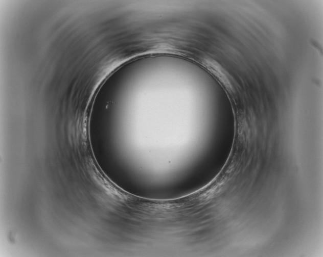 X0000098021292200804071344