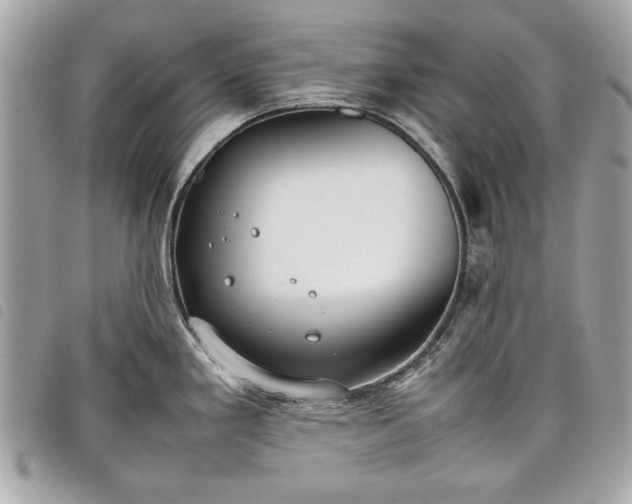 X0000098021293200804071344