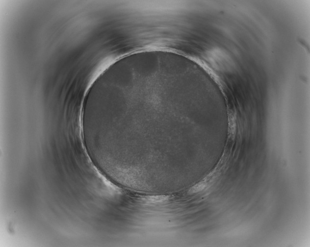 X0000098021294200804071344