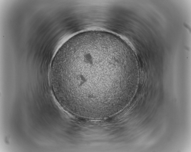 X0000098021295200804071344