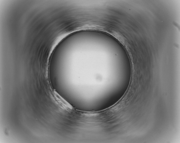 X0000098021296200804071344