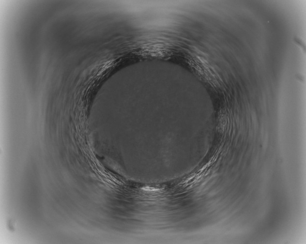 X0000098021297200804071343