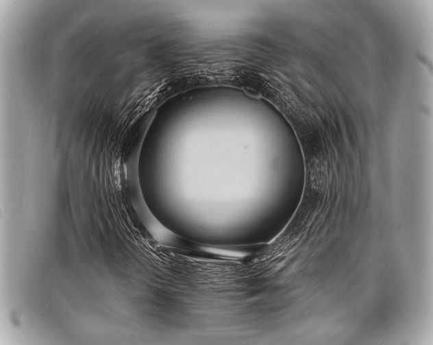 X0000098021298200804071343