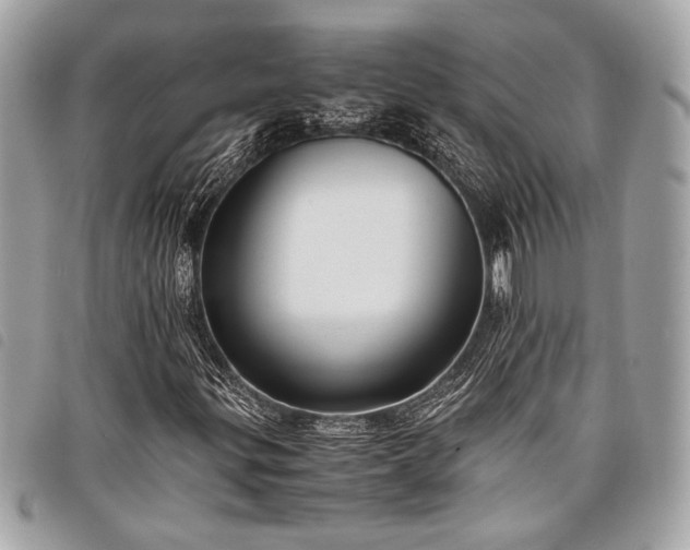 X0000098021299200804071343