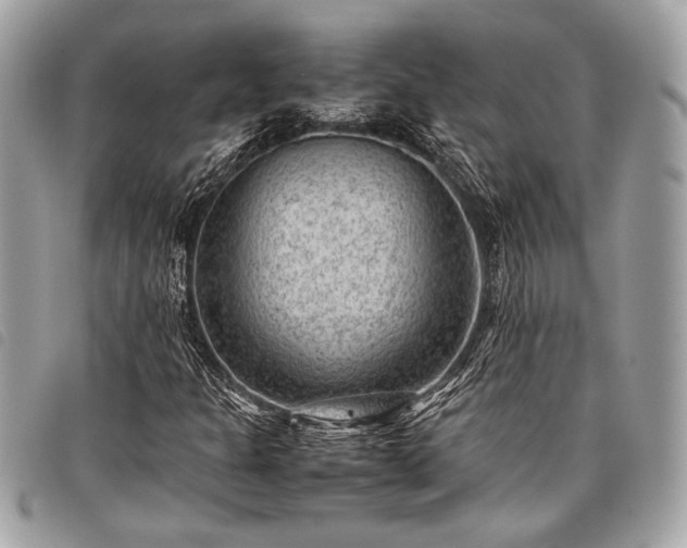 X0000098021301200804071343