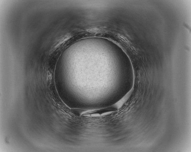 X0000098021302200804071343