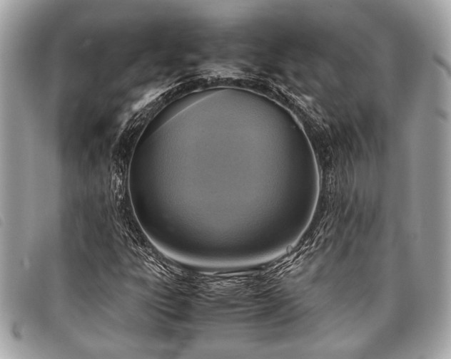 X0000098021303200804071343