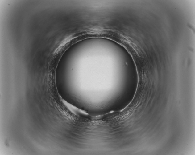 X0000098021304200804071343