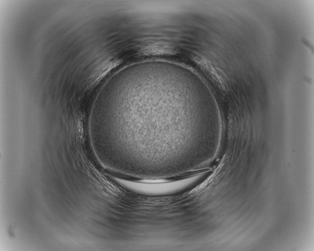 X0000098021305200804071343