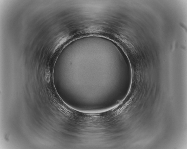 X0000098021306200804071343