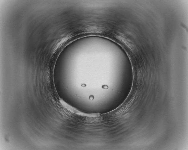 X0000098021307200804071343