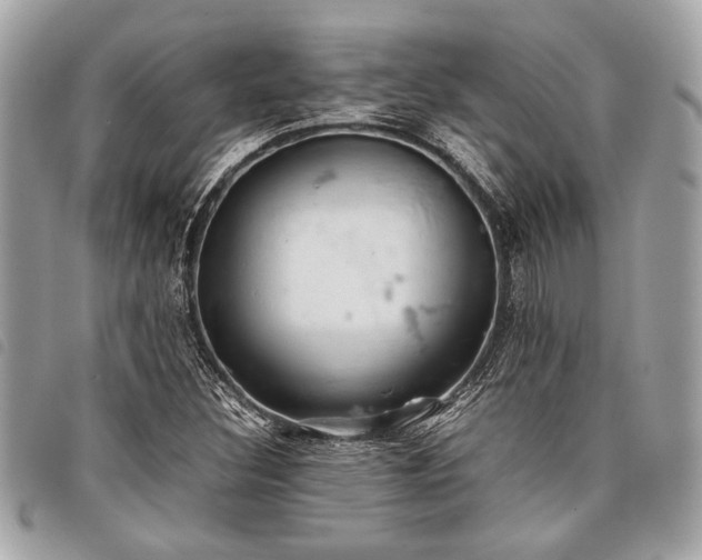 X0000098021308200804071343