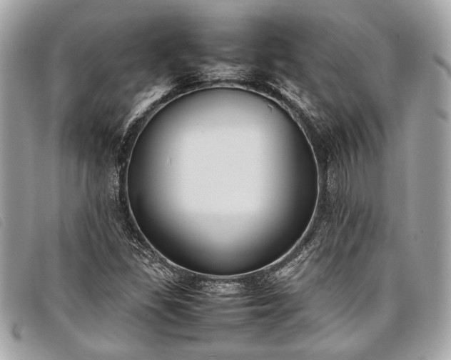 X0000098021309200804071343