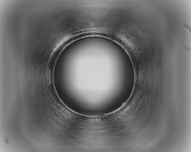 X0000098021310200804071343