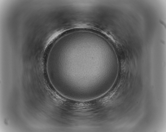 X0000098021311200804071343