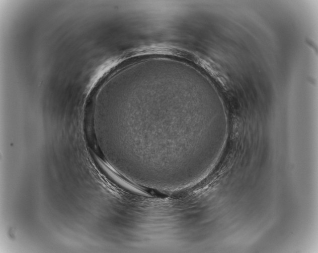 X0000098021312200804071343