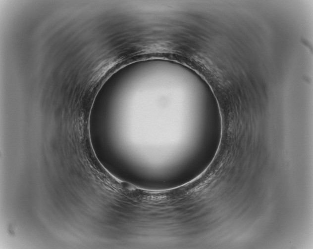 X0000098021313200804071343