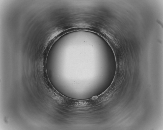 X0000098021315200804071343