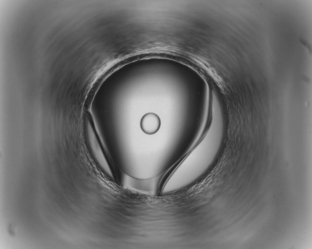 X0000098021316200804071343