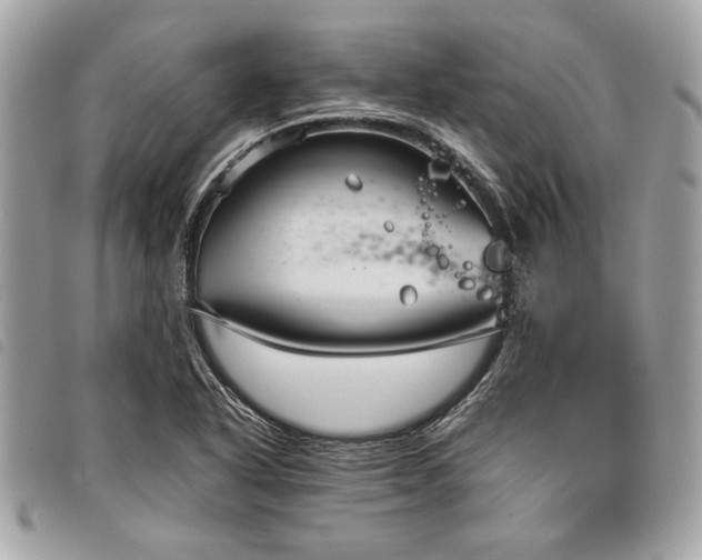 X0000098021318200804071343